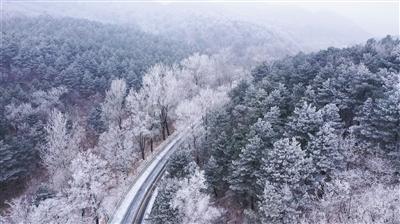 今年春运广西营业性运输客流预计 5000 万人次